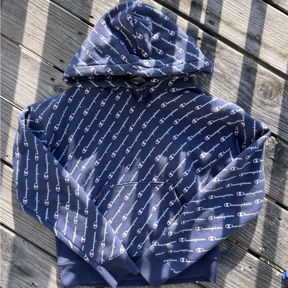 Champion hoodie light blue color print all over